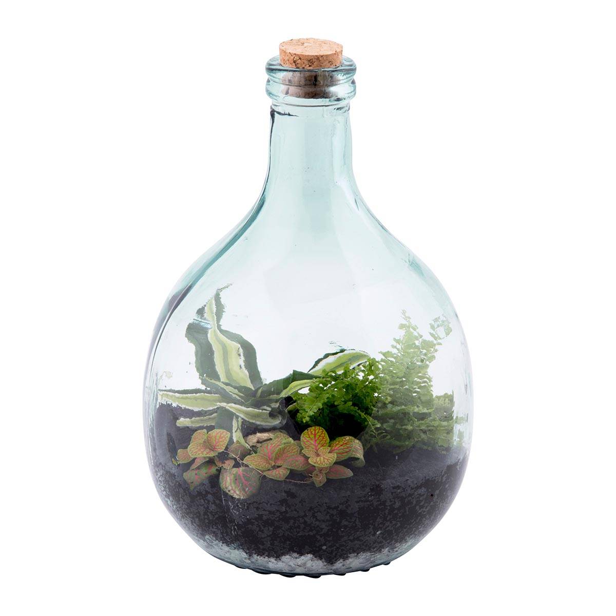 Esschert Design - Kit De Démarrage Plante En Terrarium - ESSCHERT DESIGN - Image 4
