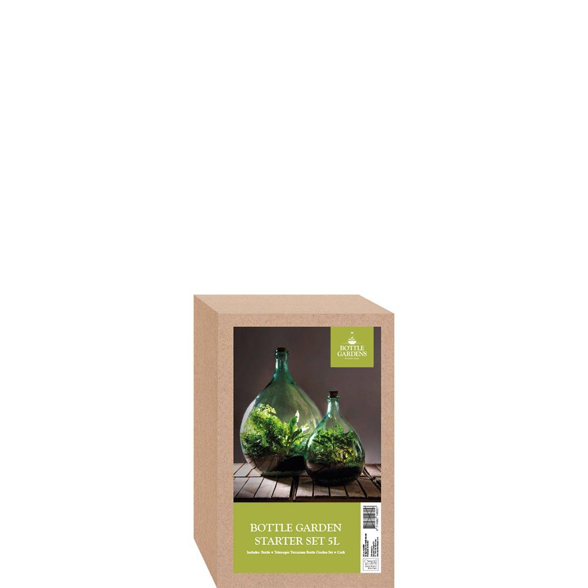 Esschert Design - Kit De Inicio Planta En Terrario - ESSCHERT DESIGN - Imagen 2