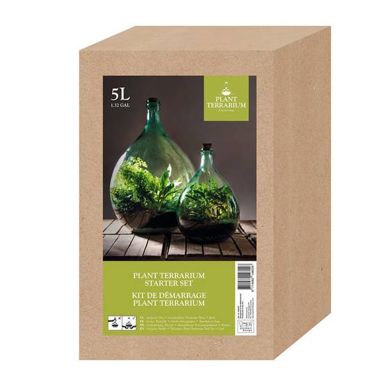 Esschert Design - Kit De Démarrage Plante En Terrarium - ESSCHERT DESIGN - Image 3