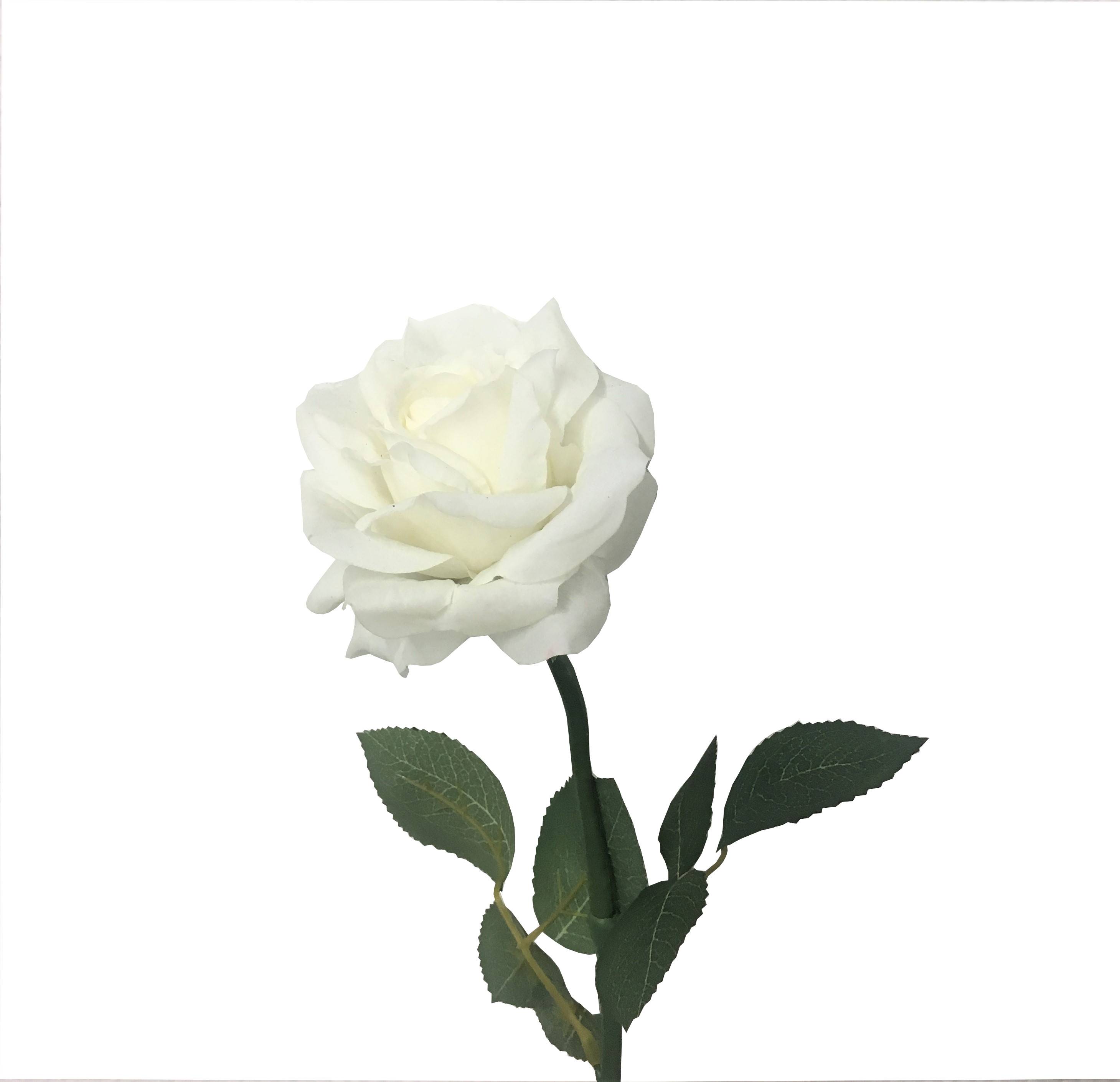 Kalyste - Kalyste - Tige de rose blanche artificielle H.65 cm