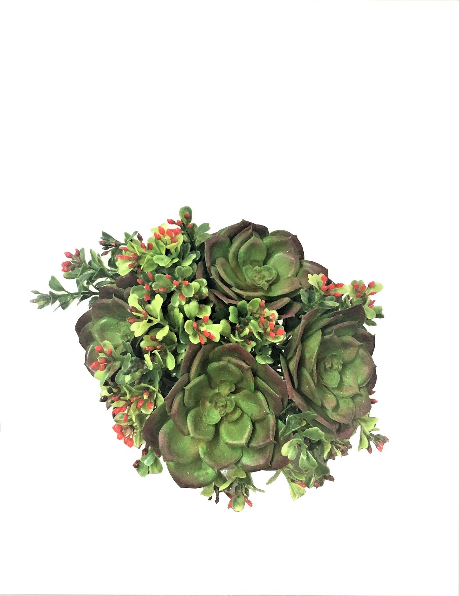 Kalyste - Kalyste - Bouquet de 8 succulentes artificielles vert & bordeaux