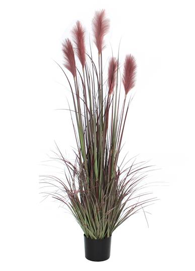 Mica Décoration - Foxtail artificiel bordeaux en pot plastique H.150 x Ø 70 cm