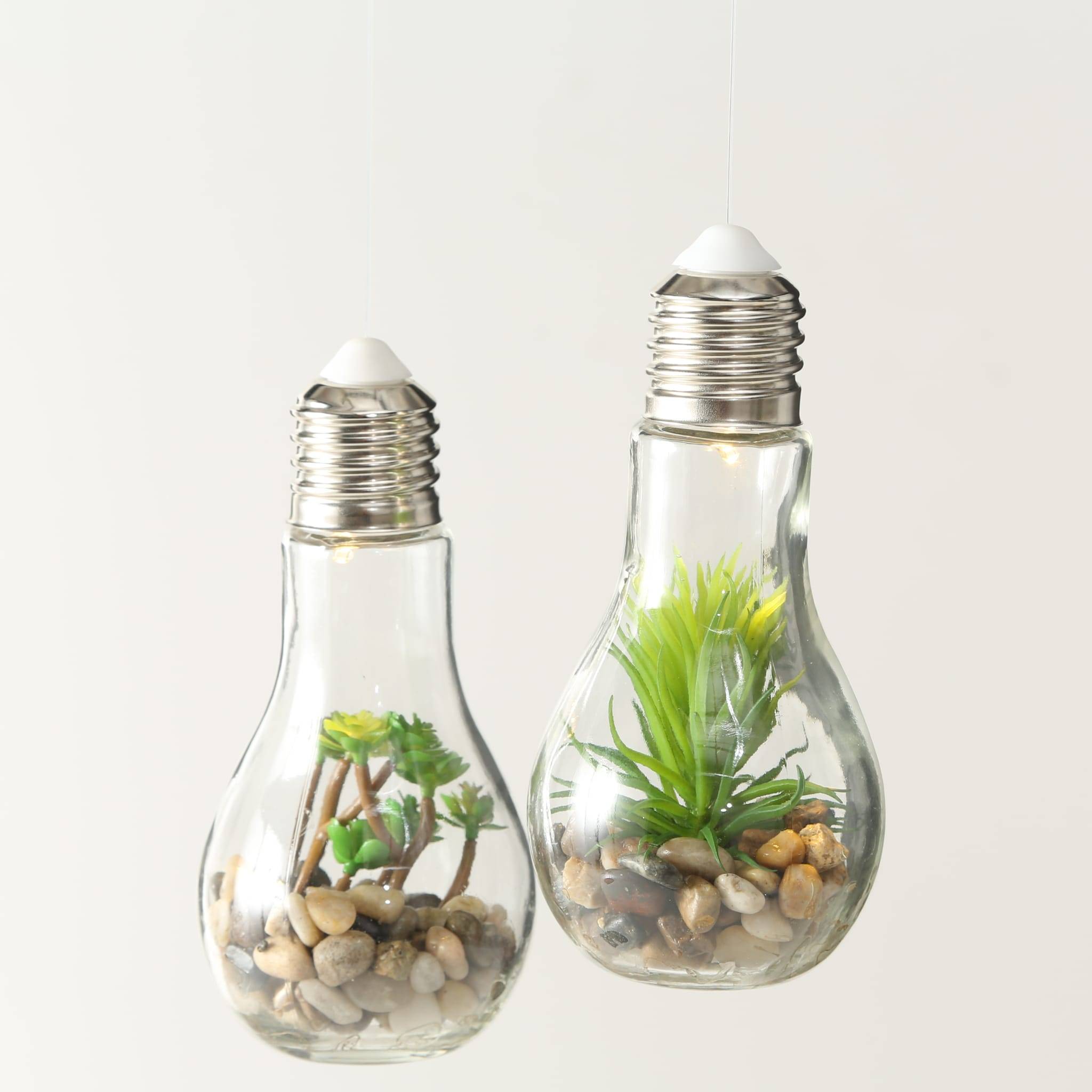 Ampoule LED avec plantes 2 assorties H18 cm - Imagen 2