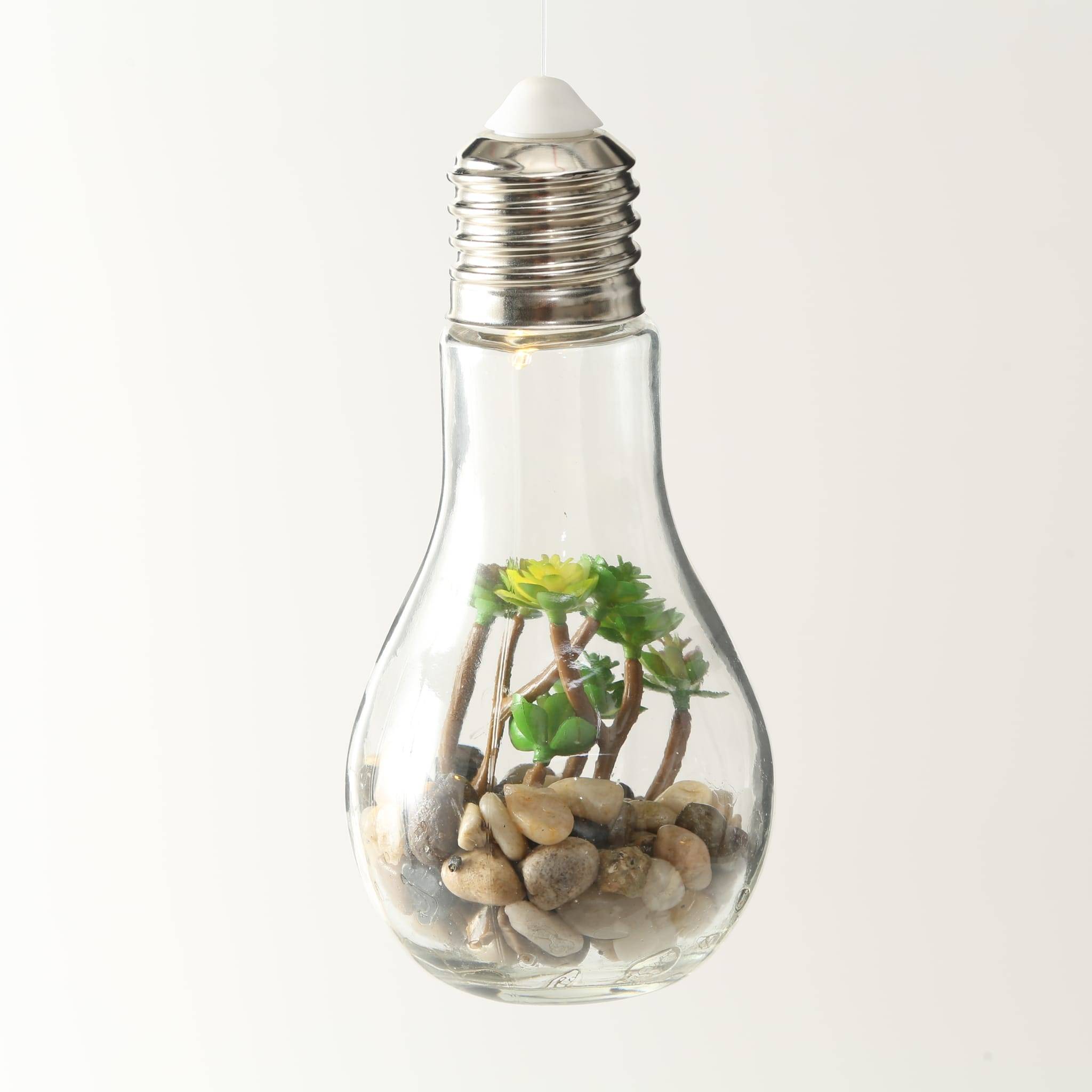Ampoule LED avec plantes 2 assorties H18 cm - Imagen 4