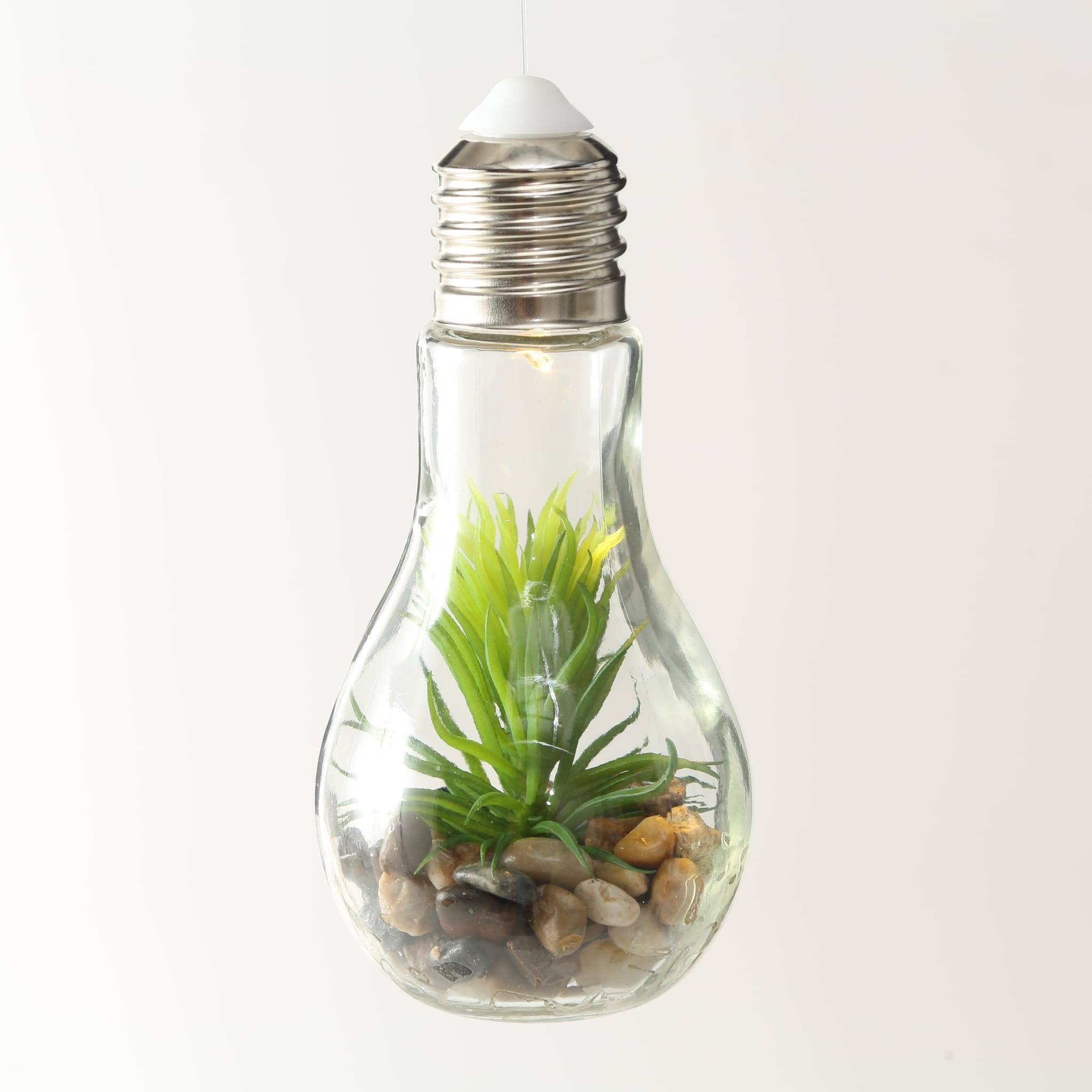 Ampoule LED avec plantes 2 assorties H18 cm - Imagen 1