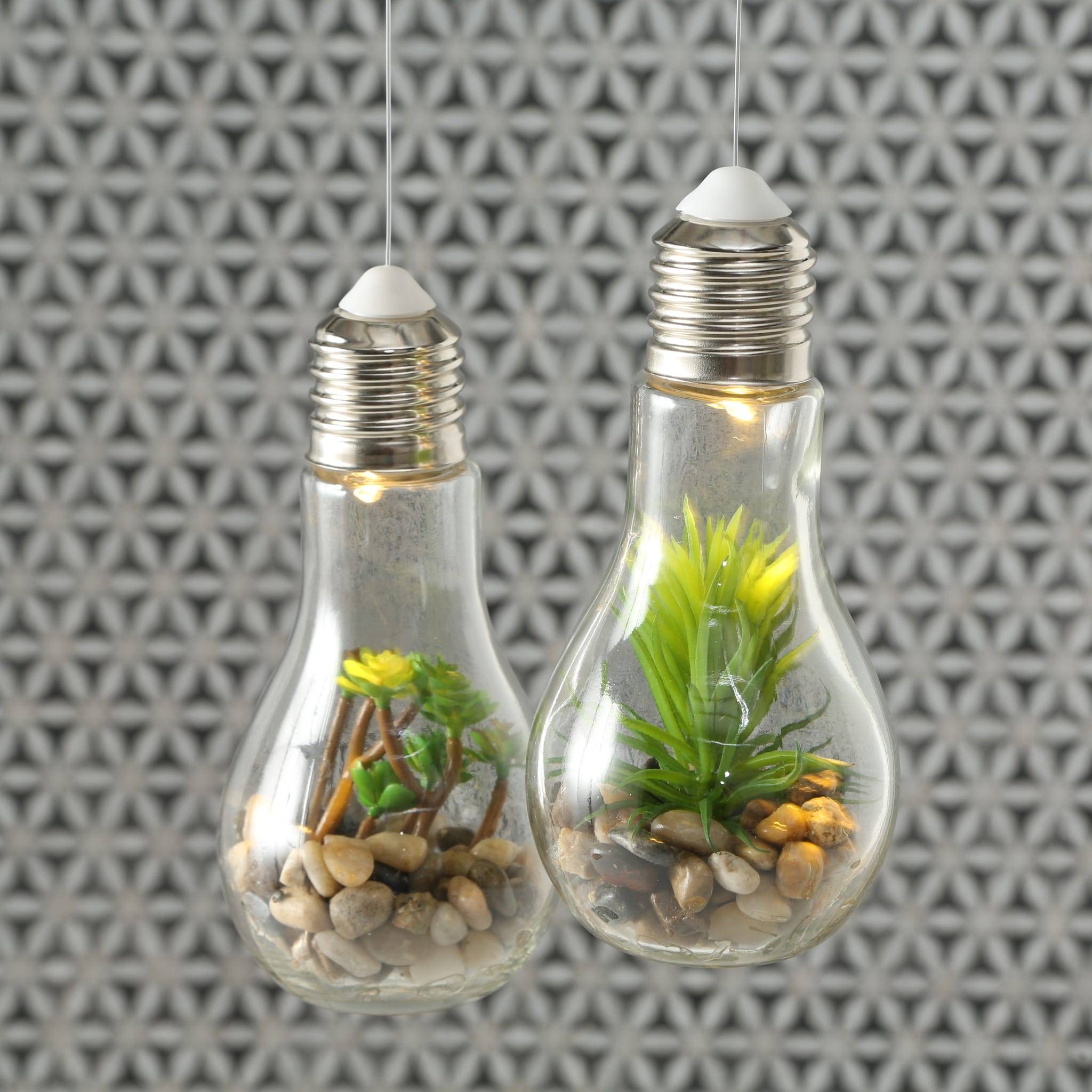 Ampoule LED avec plantes 2 assorties H18 cm - Imagen 3