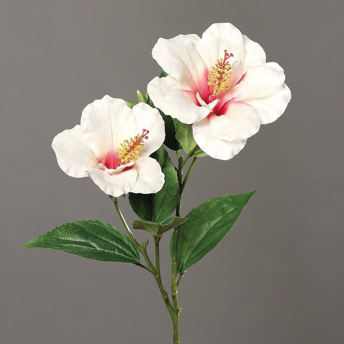 DPI - DPI - Rama de hibisco crema artificial H.65 cm