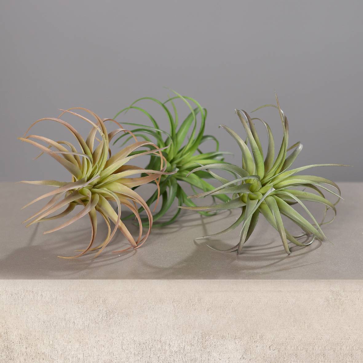 DPI - Set de tillandsias artificiels H.15 cm