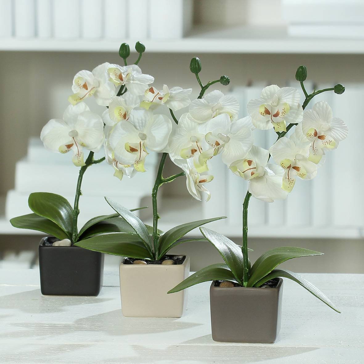 DPI - Mini-orchidée artificielle en pot céramique crème H.18 cm