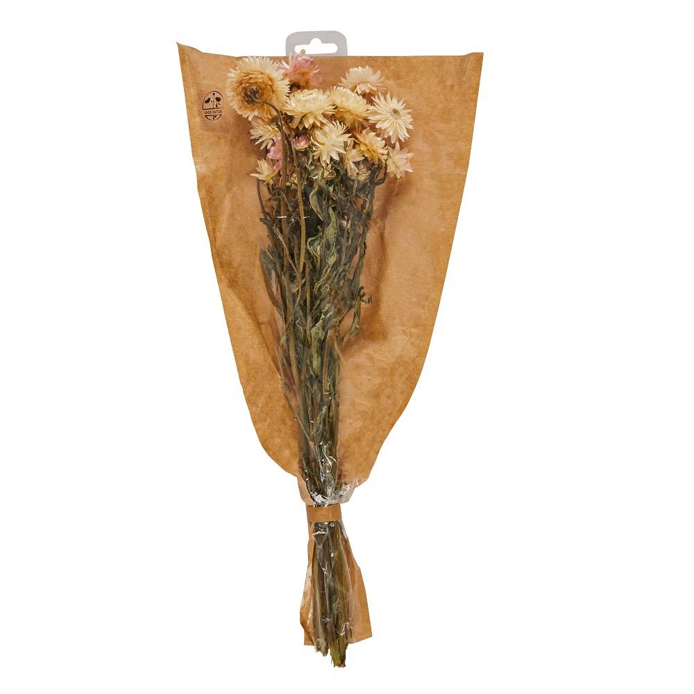 Decoris - Decoris - Bouquet Helichrysum séché - 3 coloris - Ø.15 x H.50 cm - Image 1