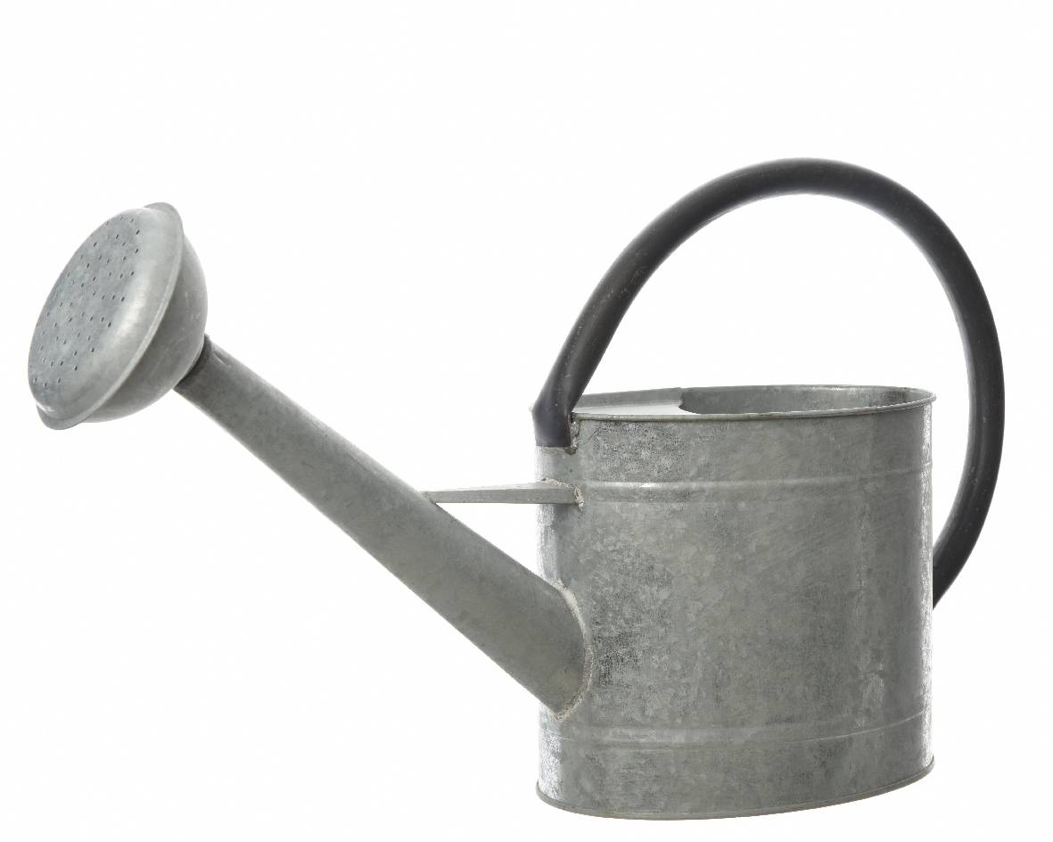Arrosoir Zinc 5 l – DECORIS - Image 1