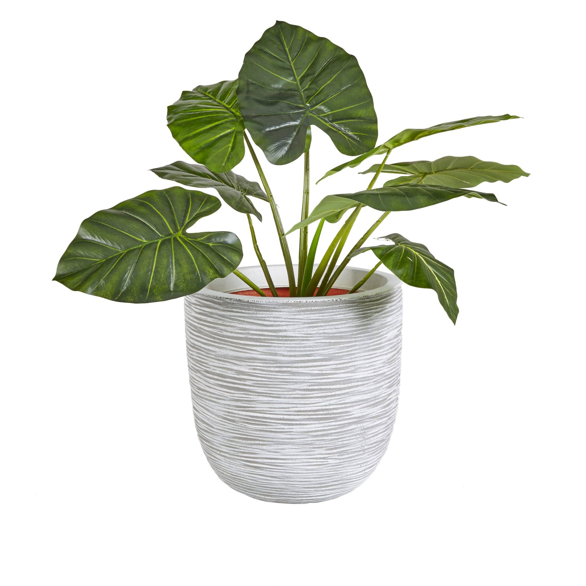 Capi - Pot À Fleurs Nature Rib - CAPI - Imagen 1
