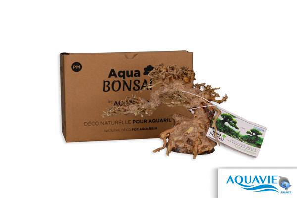 Bonsai Nature pour aquarium Aquavie L.24 x l.13 x H.16 cm