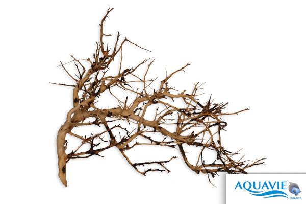 Aquavie - Aquavie - Vigne Broussa 10-30 cm - Imagen 2