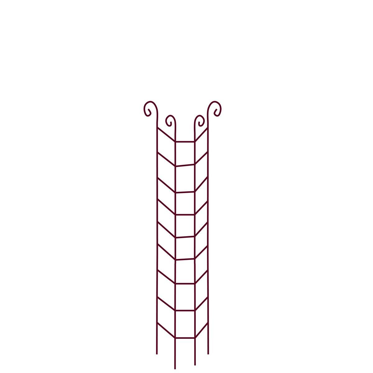 Colonne Grimpante - VITIS IN SITU - Imagen 1