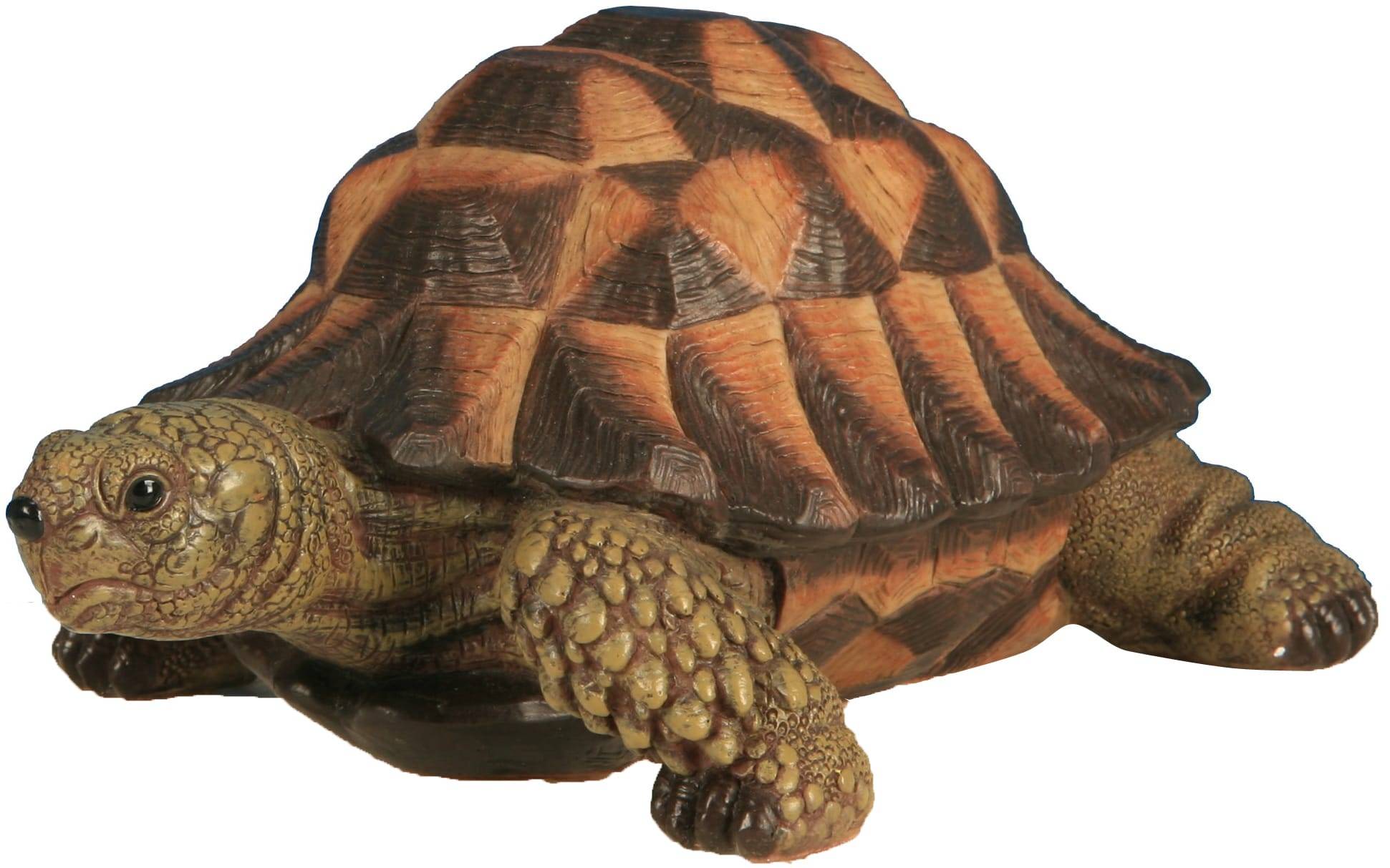 Riviera - Figurine tortuga verde pequeño modelo L17 cm