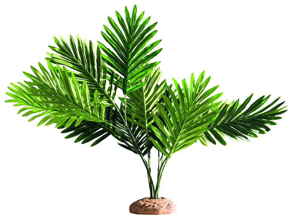 Hobby - Hobby - Palmier Palm  - L.40 x l.60 x H.55 cm