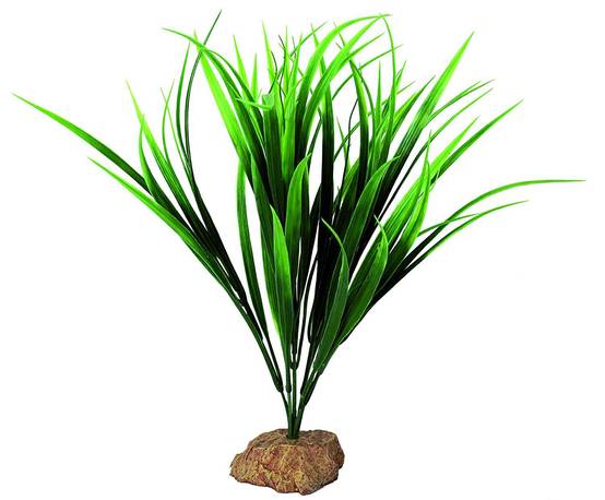 Australian bush - L.34 x l.8 x H.7 cm