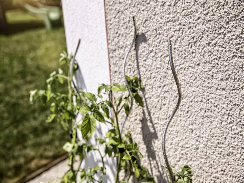 Windhager - Tuteur tomates spirale cranté L180 cm - Imagen 4