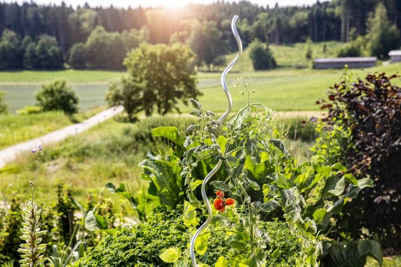 Windhager - Tuteur tomate spirale alu creux L180 cm - Imagen 2