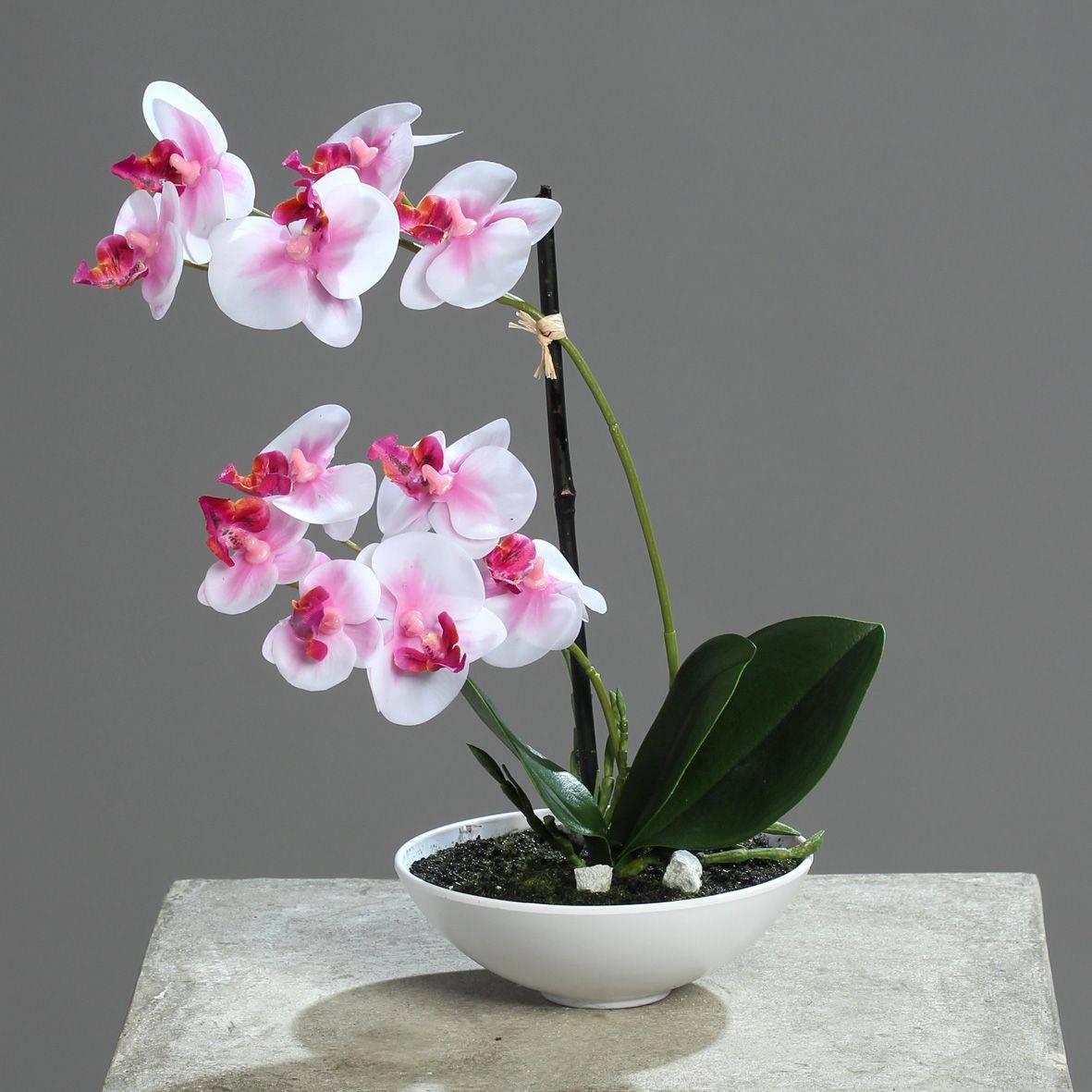 DPI - DPI - Orchidée phalaeno artificielle rose coupe plastique H.25 cm