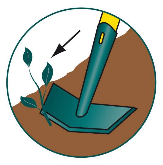 Leborgne - Ratissoire de Jardin Naturovert - LEBORGNE - Image 5
