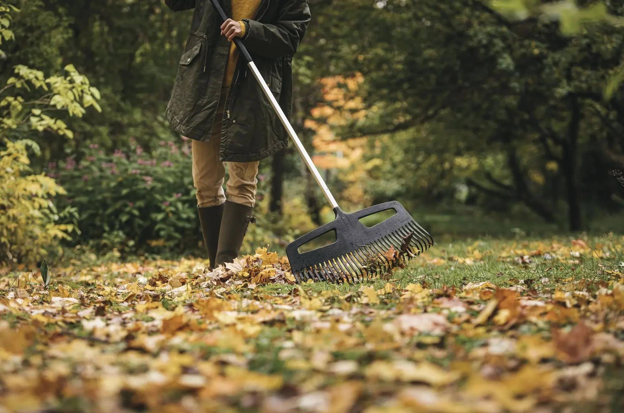 Fiskars - Fiskars - Balai à feuilles XXL Xact™ - Imagen 7
