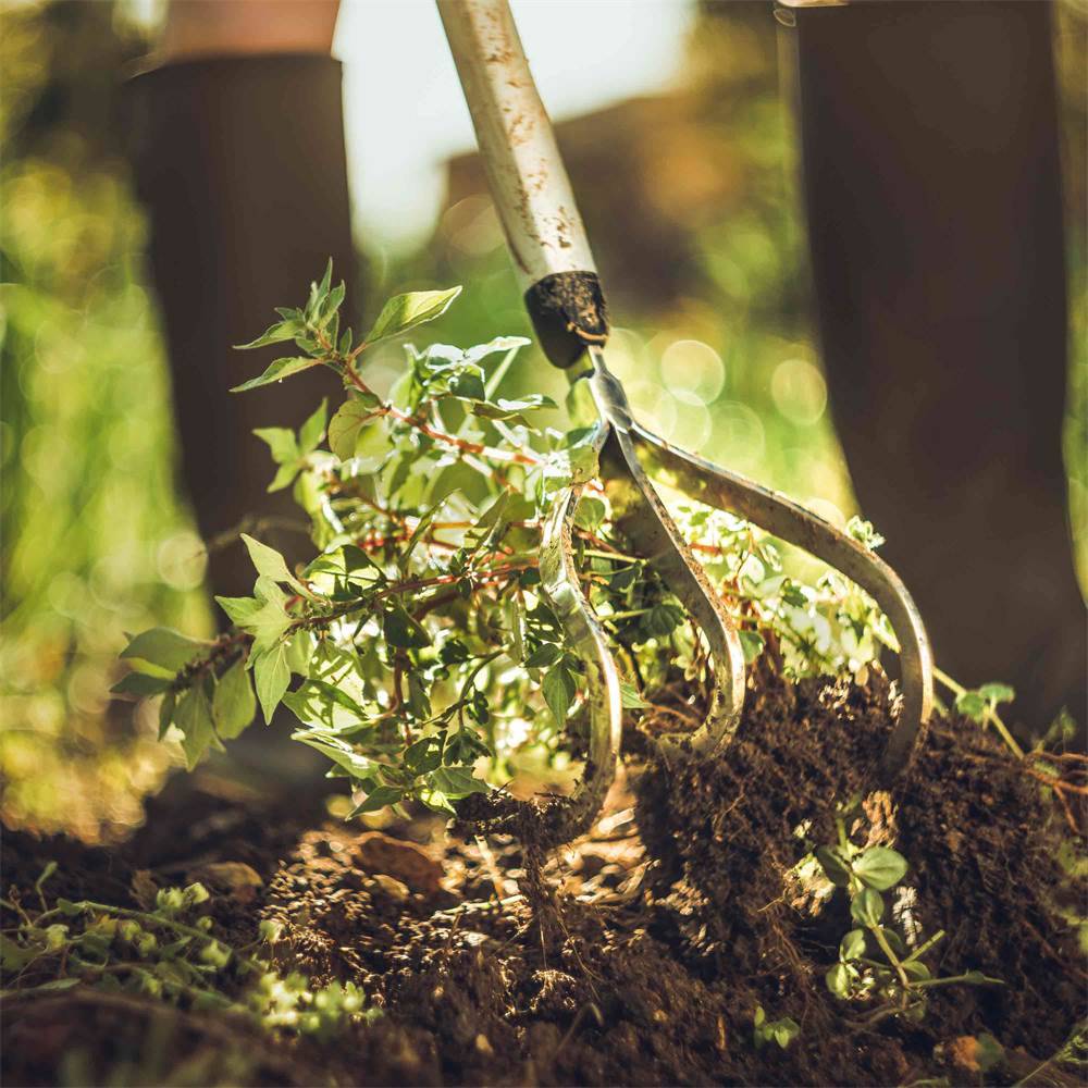 Fiskars - Fiskars - Griffe de Jardin Xact™ - Imagen 2
