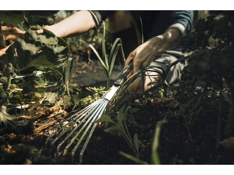 Fiskars - Rastrillo Xact™ - Imagen 2