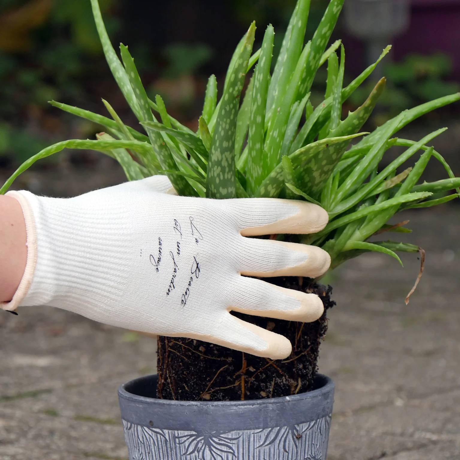 Rostaing - Gant de jardinage Nude - ROSTAING - Image 2
