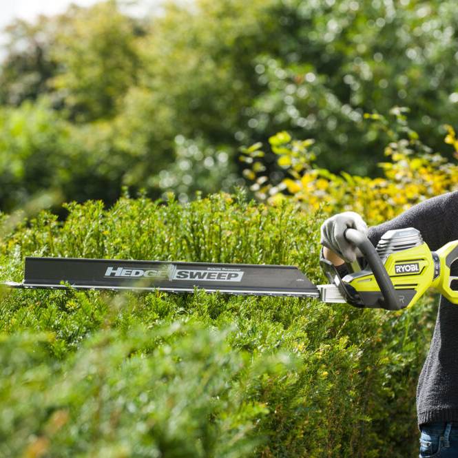 Ryobi - Taille-haies électrique 800W Longueur de lames 65 cm RYOBI - Imagen 7
