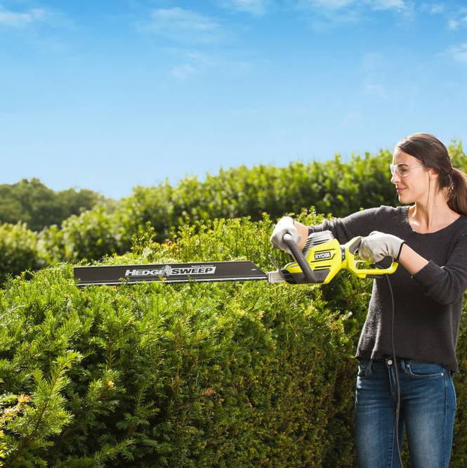 Ryobi - Taille-haies électrique 800W Longueur de lames 65 cm RYOBI - Imagen 6