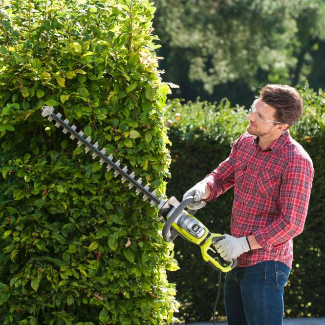 Ryobi - Taille-haies électrique 800W Longueur de lames 65 cm RYOBI - Imagen 9