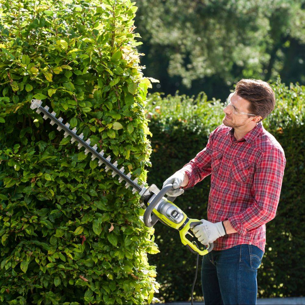 Ryobi - Taille-haies électrique 800W Longueur de lames 65 cm RYOBI - Imagen 2