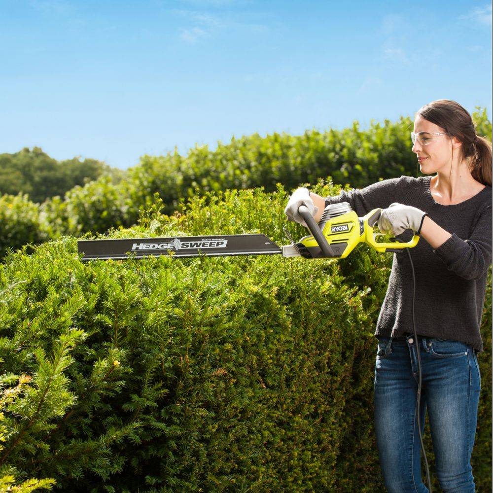 Ryobi - Taille-haies électrique 800W Longueur de lames 65 cm RYOBI - Imagen 3