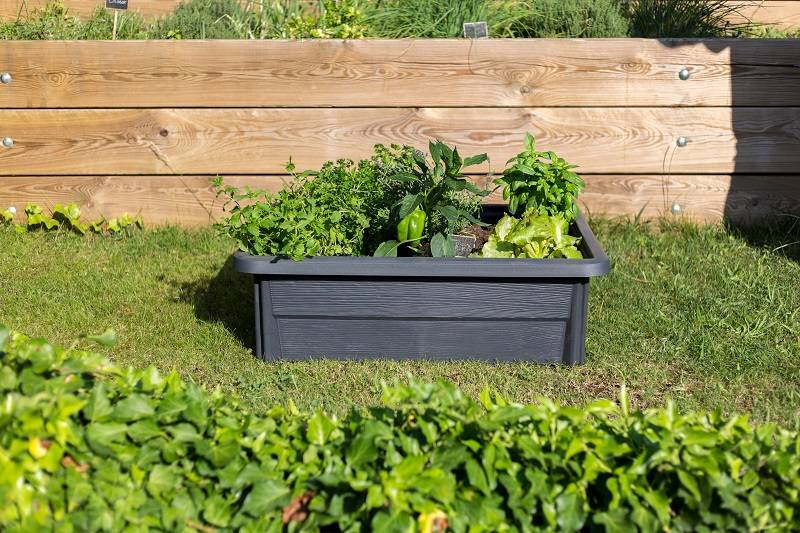 EDA Plastiques - Espace potager Veg&Table Garden - EDA - Image 5
