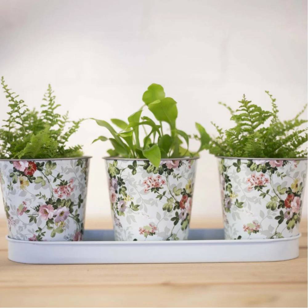 Esschert Design - Jardinière 3 pots acier galvanisé roses – ESSCHERT - Image 3