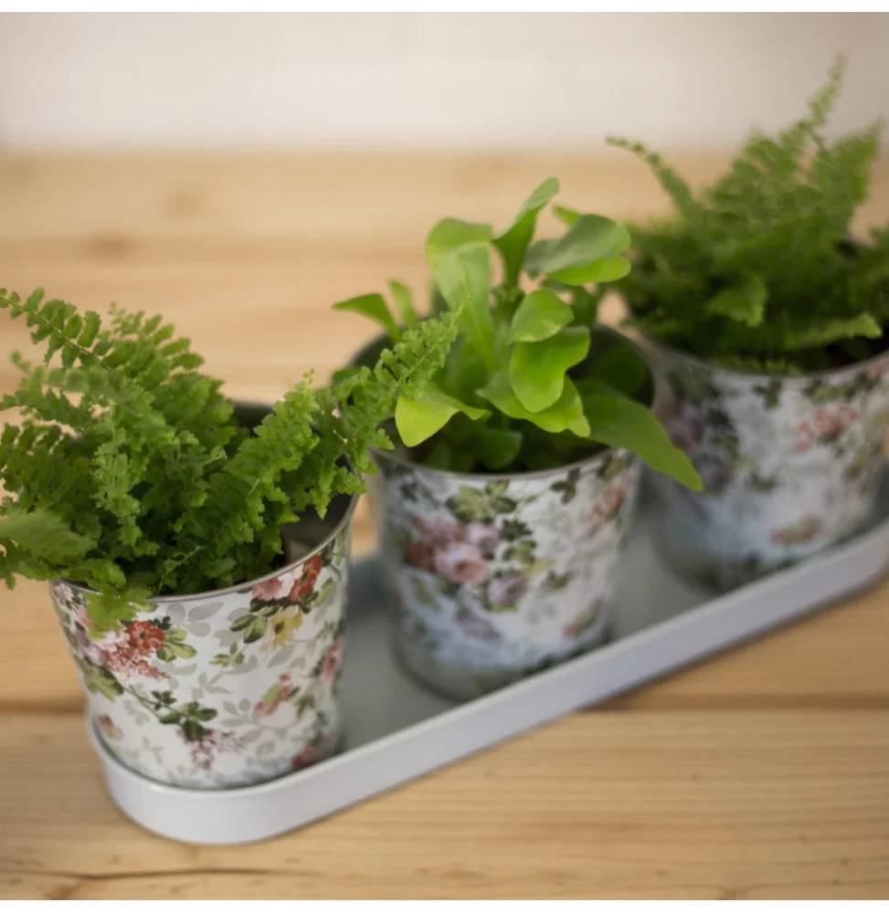 Esschert Design - Jardinière 3 pots acier galvanisé roses – ESSCHERT - Image 6