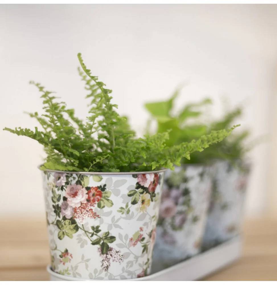 Esschert Design - Jardinière 3 pots acier galvanisé roses – ESSCHERT - Image 5