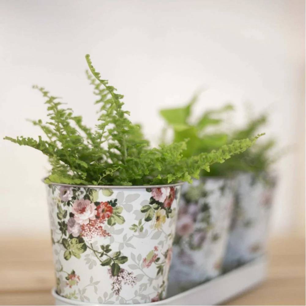 Esschert Design - Jardinière 3 pots acier galvanisé roses – ESSCHERT - Image 7