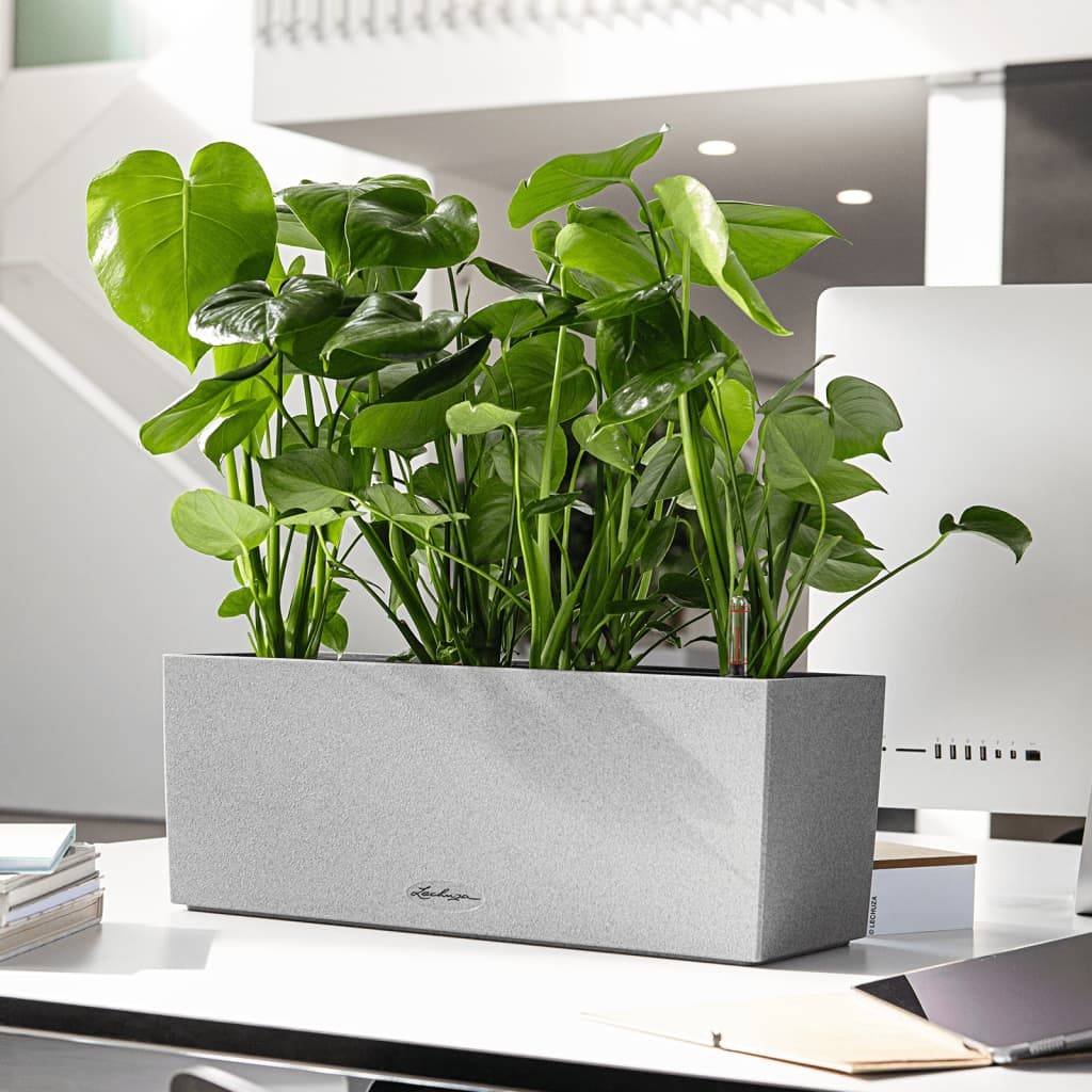 Jardinière Lechuza  L50 H19 cm gris pierre - Image 13