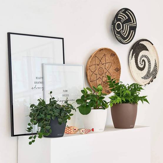 Pot Classico Color – LECHUZA - Image 2