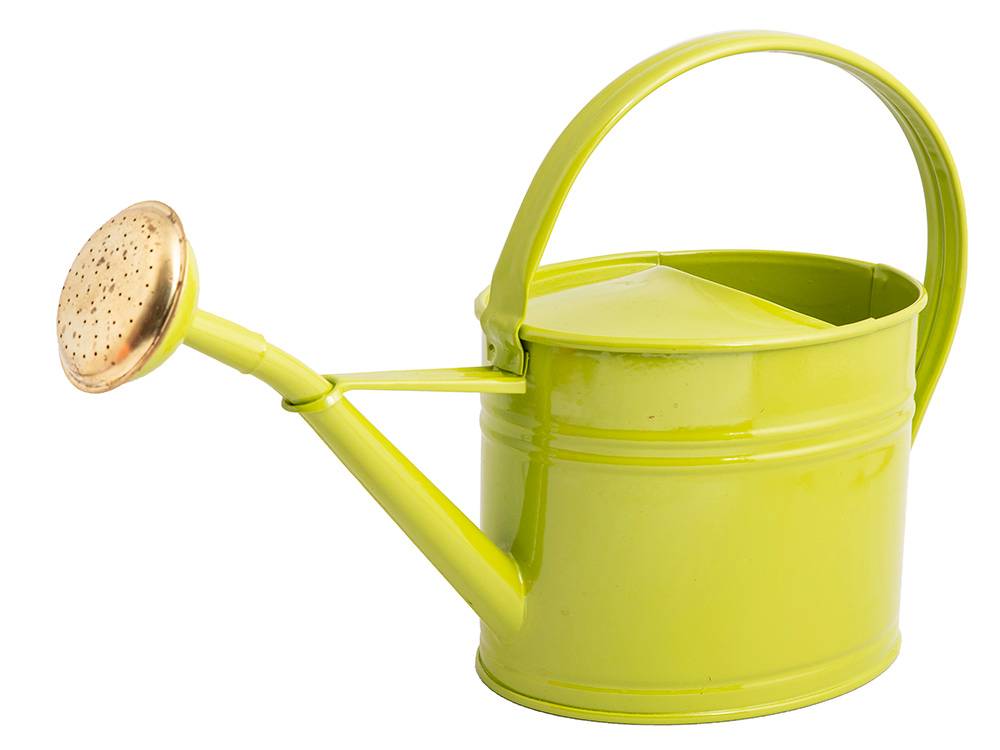 Guillouard - Arrosoir Vert Olive GUILLOUARD
