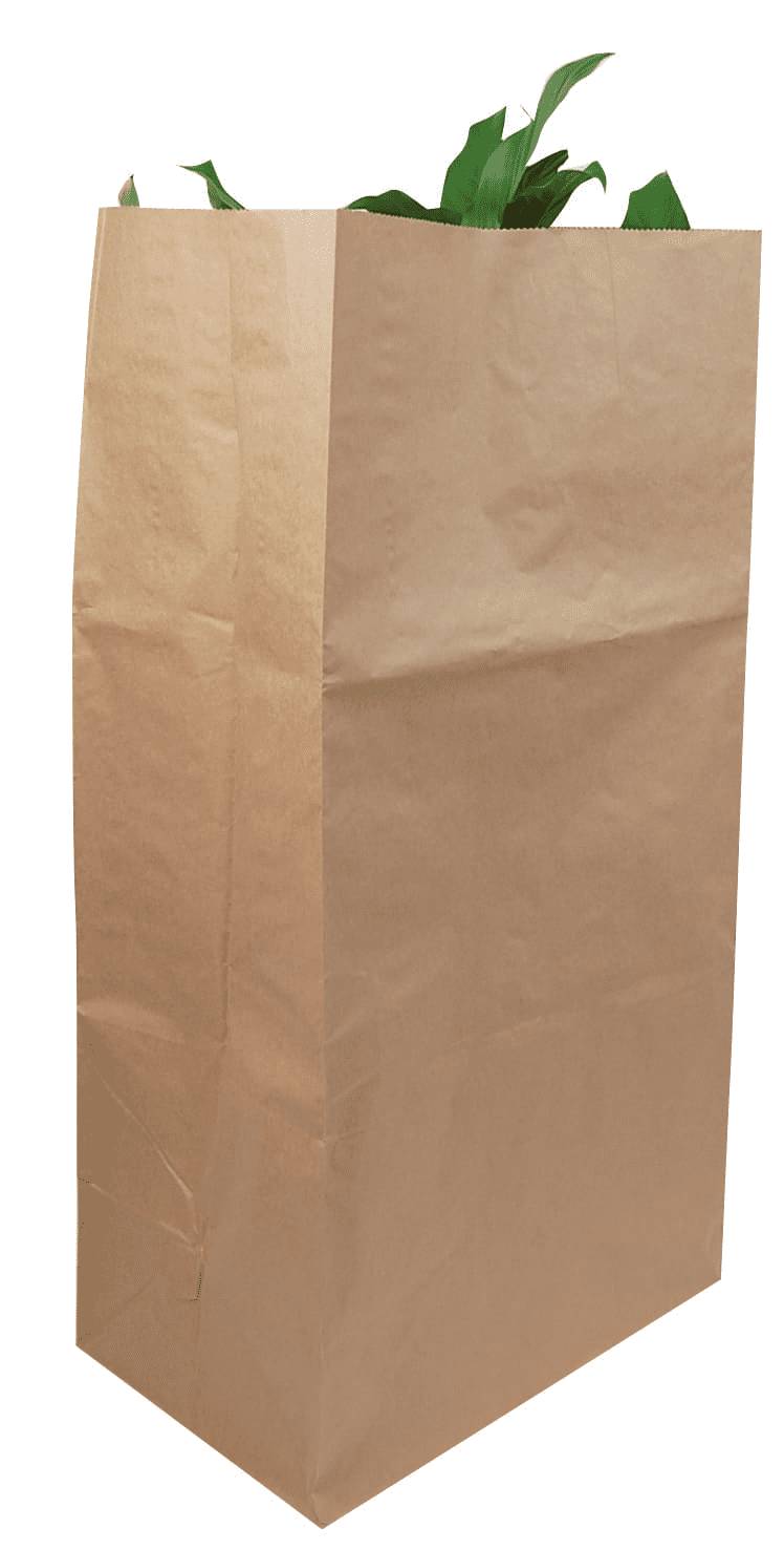5 Sacs déchets verts papier kraft brun recyclé traité W.S. 120 L - Image 3