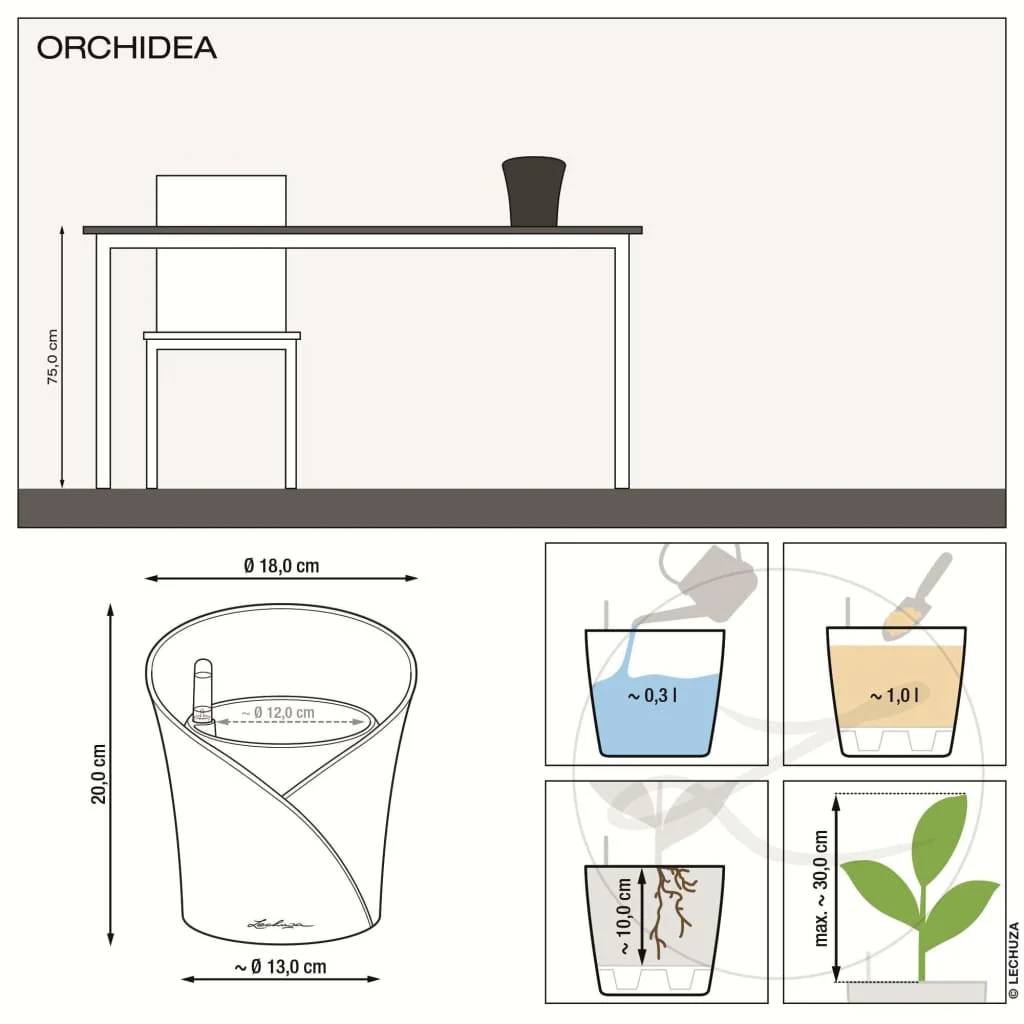 Lechuza - Lechuza - Orchidea kit complet gris mat L.18 x l.18 x H.20 cm - Imagen 2