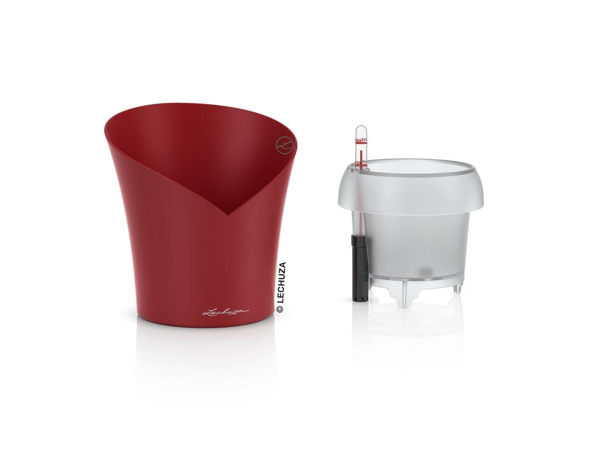 Lechuza - Lechuza - Orchidea kit complet rouge mat L.18 x l.18 x H.20 cm - Imagen 2