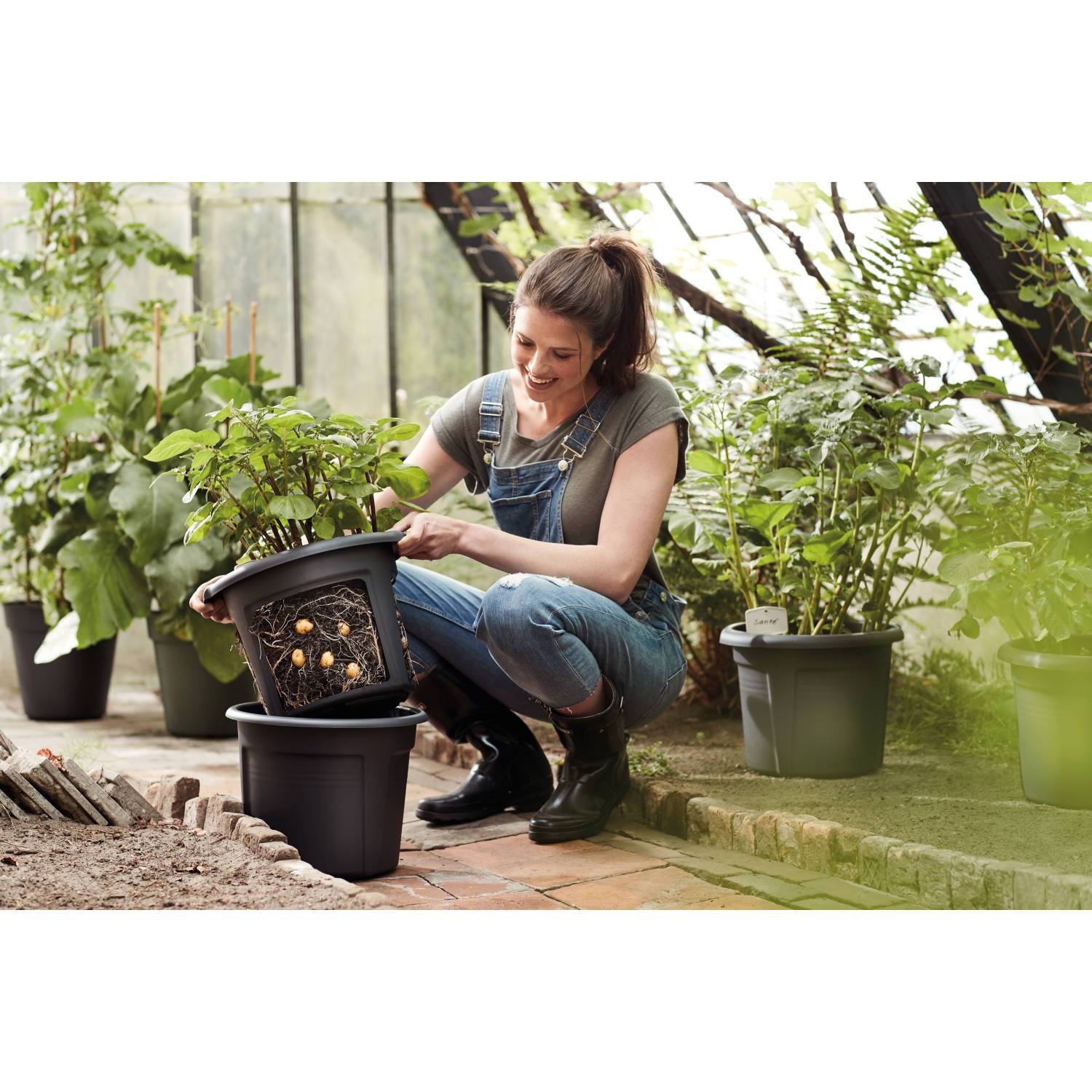 Elho - Pot pour pommes de terre Green Basics Noir Ø 32,5 x H.25,7 cm - Imagen 5