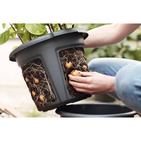 Elho - Pot pour pommes de terre Green Basics Noir Ø 32,5 x H.25,7 cm - Image 4