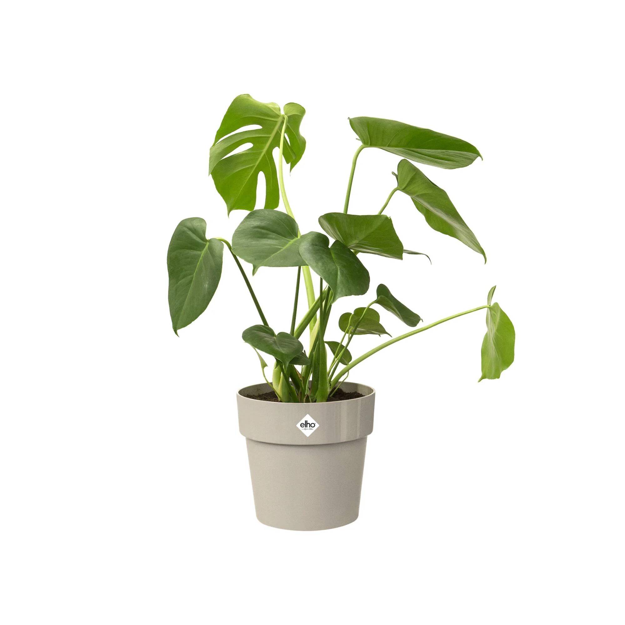 Elho - Pot Rond Blanc - ELHO - Imagen 3