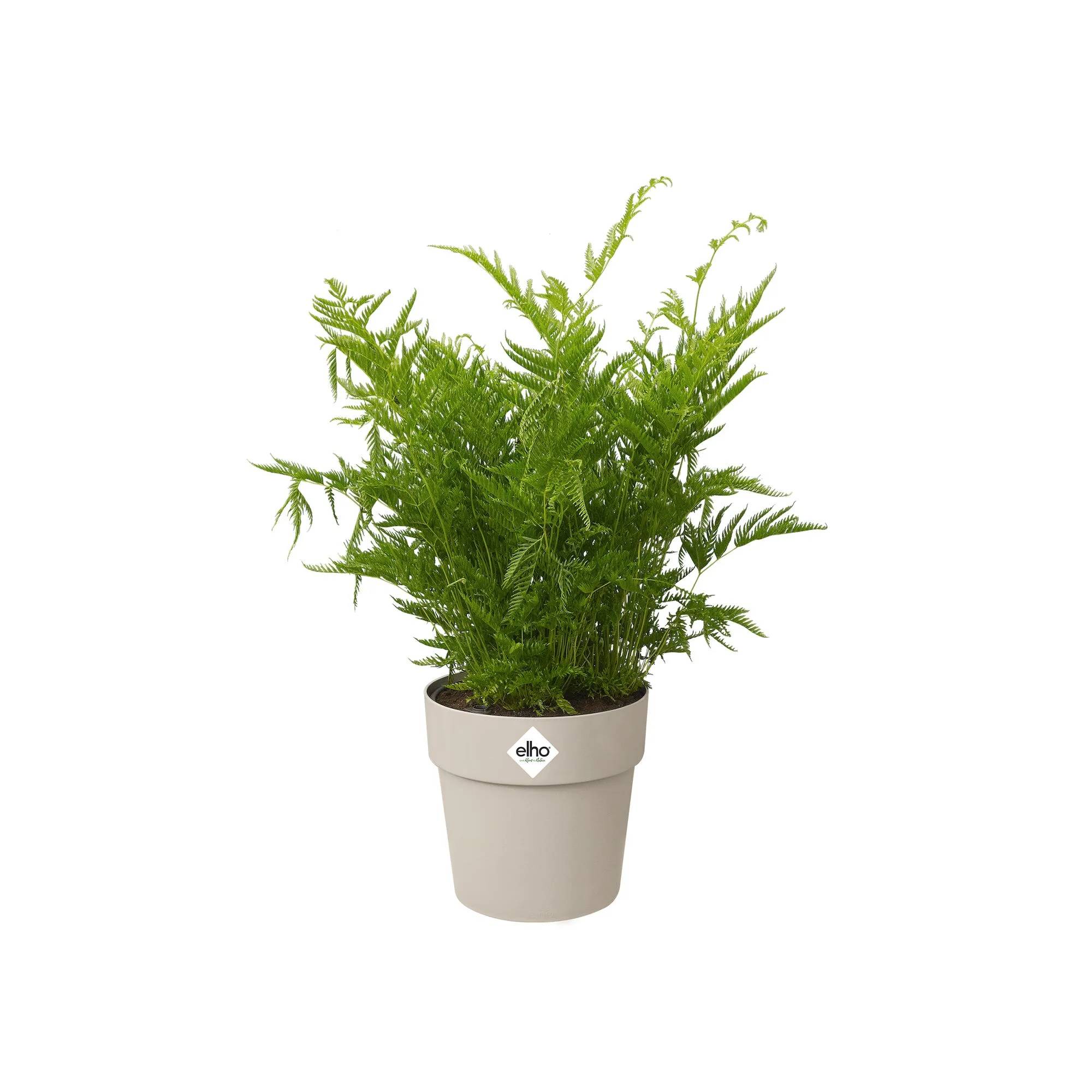 Elho - Pot Rond Blanc - ELHO - Imagen 6